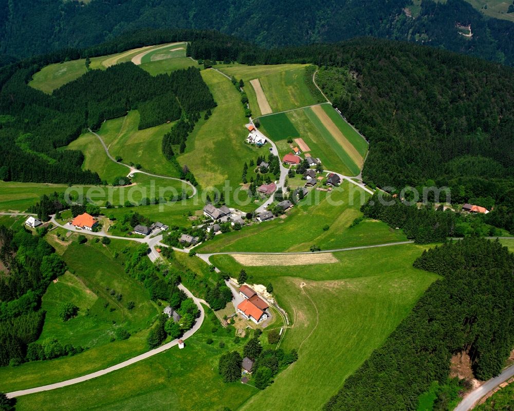 Herrischried from the bird's eye view: Agricultural land and field boundaries surround the settlement area of the village in Herrischried in the state Baden-Wuerttemberg, Germany