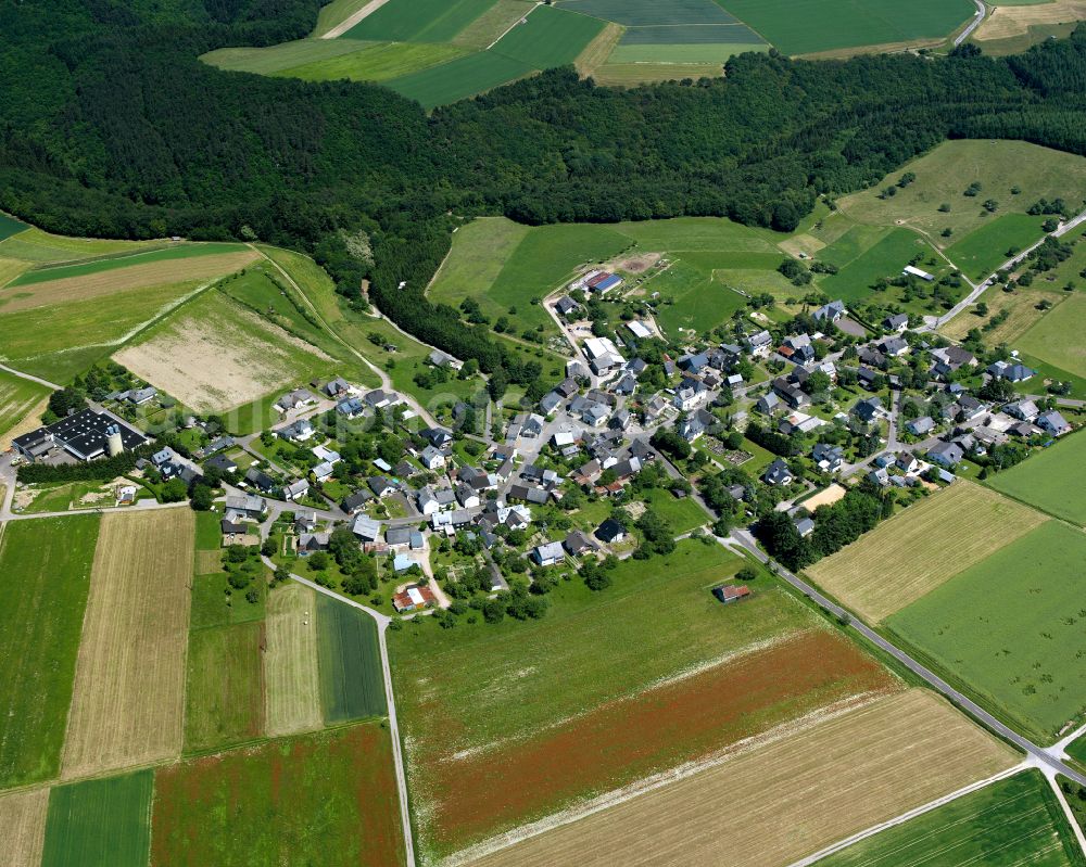 Aerial photograph Heyweiler - Agricultural land and field boundaries surround the settlement area of the village in Heyweiler in the state Rhineland-Palatinate, Germany