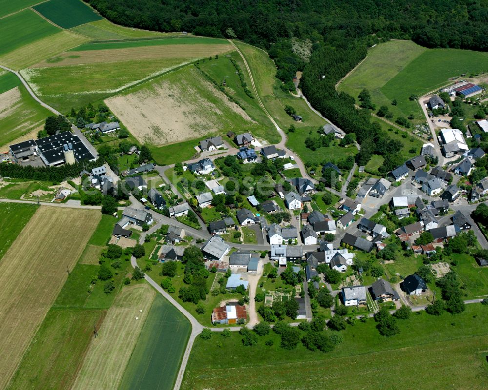 Heyweiler from the bird's eye view: Agricultural land and field boundaries surround the settlement area of the village in Heyweiler in the state Rhineland-Palatinate, Germany