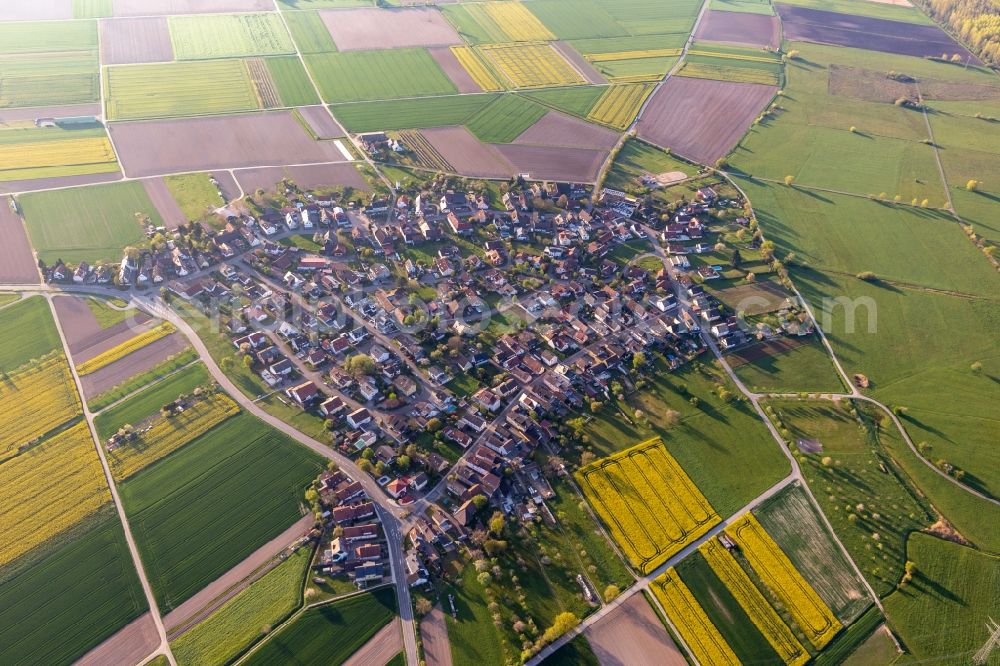 Aerial photograph Höfen - Agricultural land and field boundaries surround the settlement area of the village in Hoefen in the state Baden-Wuerttemberg, Germany