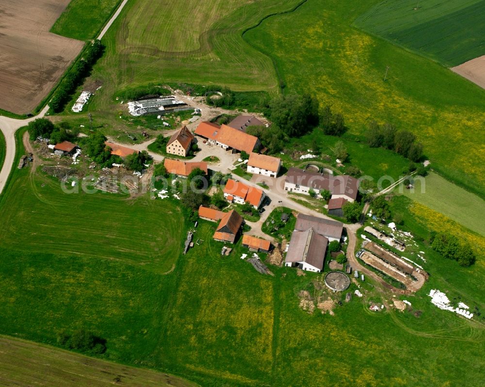 Höfen from the bird's eye view: Agricultural land and field boundaries surround the settlement area of the village in Höfen in the state Bavaria, Germany