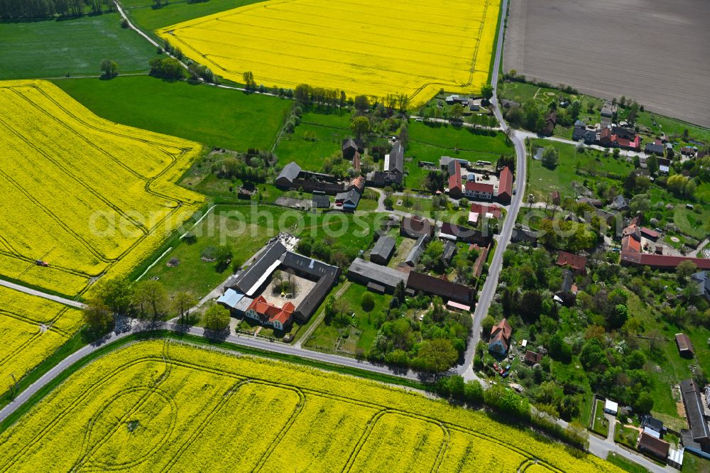 Hilmsen from the bird's eye view: Agricultural land and field boundaries surround the settlement area of the village in Hilmsen in the state Saxony-Anhalt, Germany