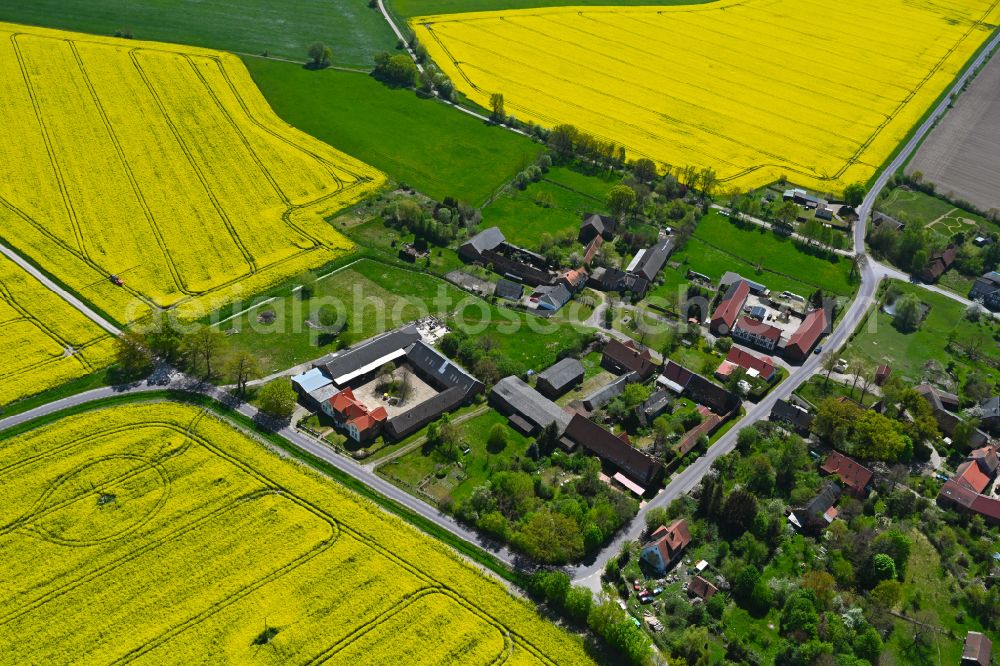 Aerial image Hilmsen - Agricultural land and field boundaries surround the settlement area of the village in Hilmsen in the state Saxony-Anhalt, Germany