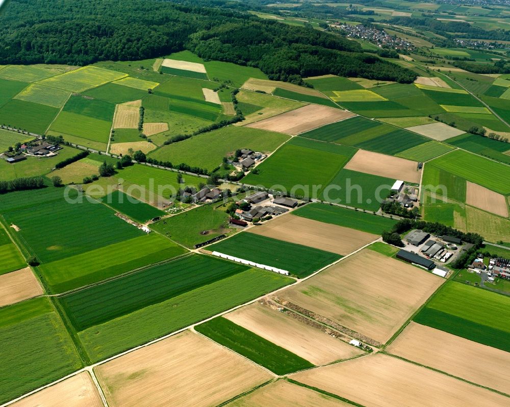 Hintermeilingen from the bird's eye view: Agricultural land and field boundaries surround the settlement area of the village in Hintermeilingen in the state Hesse, Germany