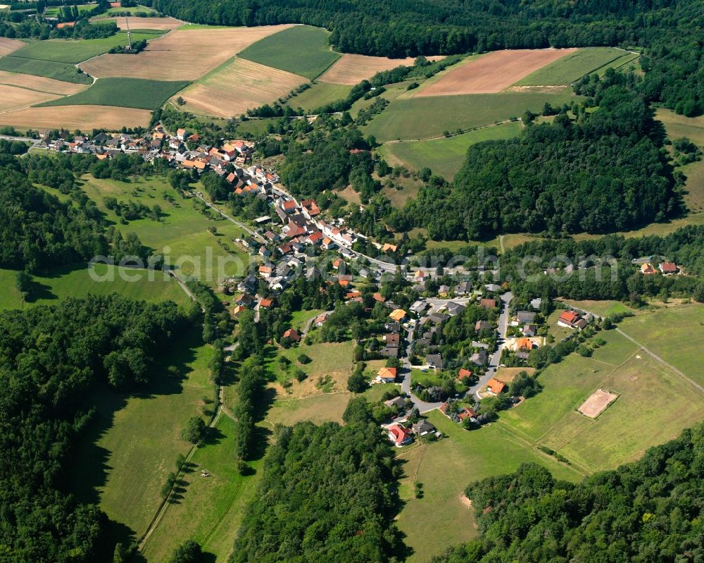 Höllerbach from the bird's eye view: Agricultural land and field boundaries surround the settlement area of the village in Höllerbach in the state Hesse, Germany