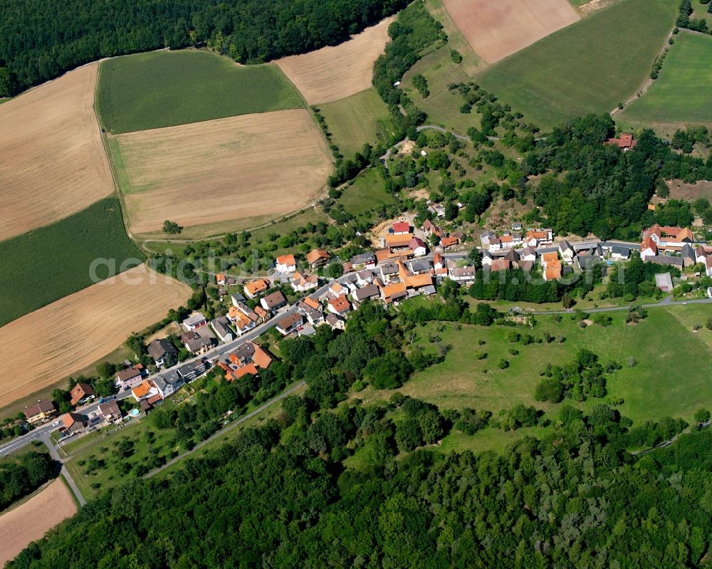 Aerial photograph Höllerbach - Agricultural land and field boundaries surround the settlement area of the village in Höllerbach in the state Hesse, Germany