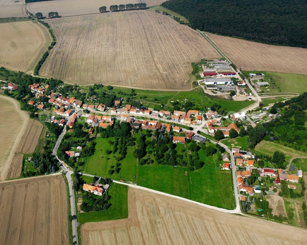 Hohenbergen from above - Agricultural land and field boundaries surround the settlement area of the village in Hohenbergen in the state Thuringia, Germany