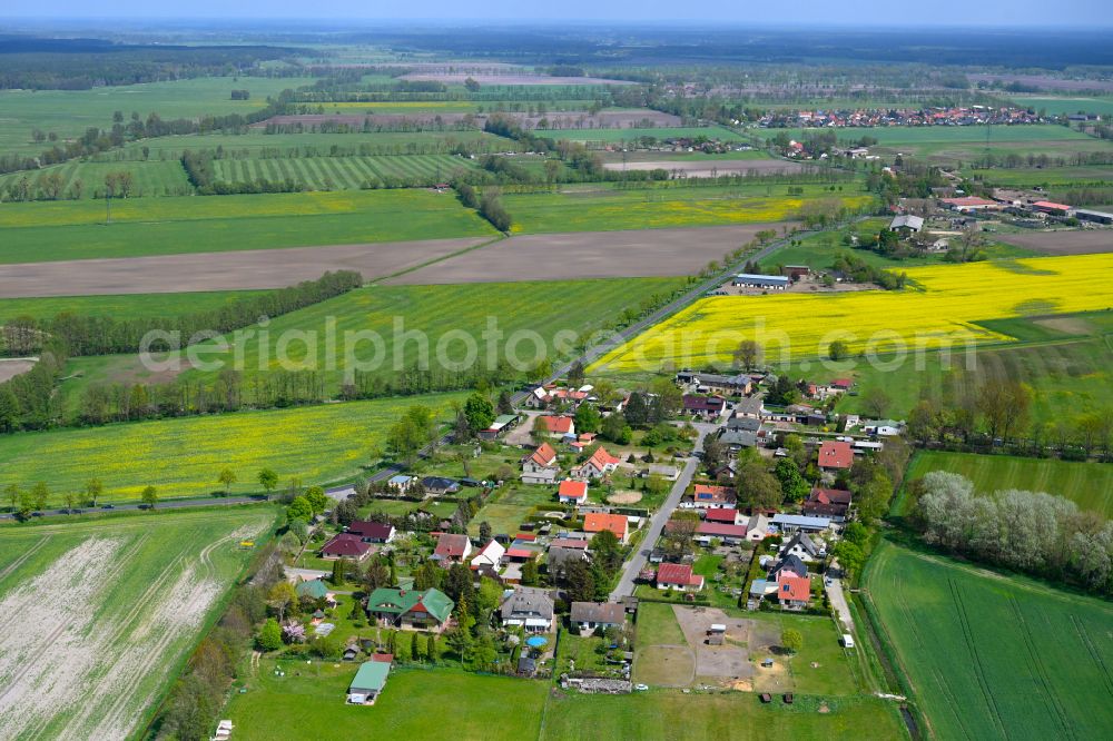 Hohenbruch from above - Agricultural land and field boundaries surround the settlement area of the village in Hohenbruch in the state Brandenburg, Germany