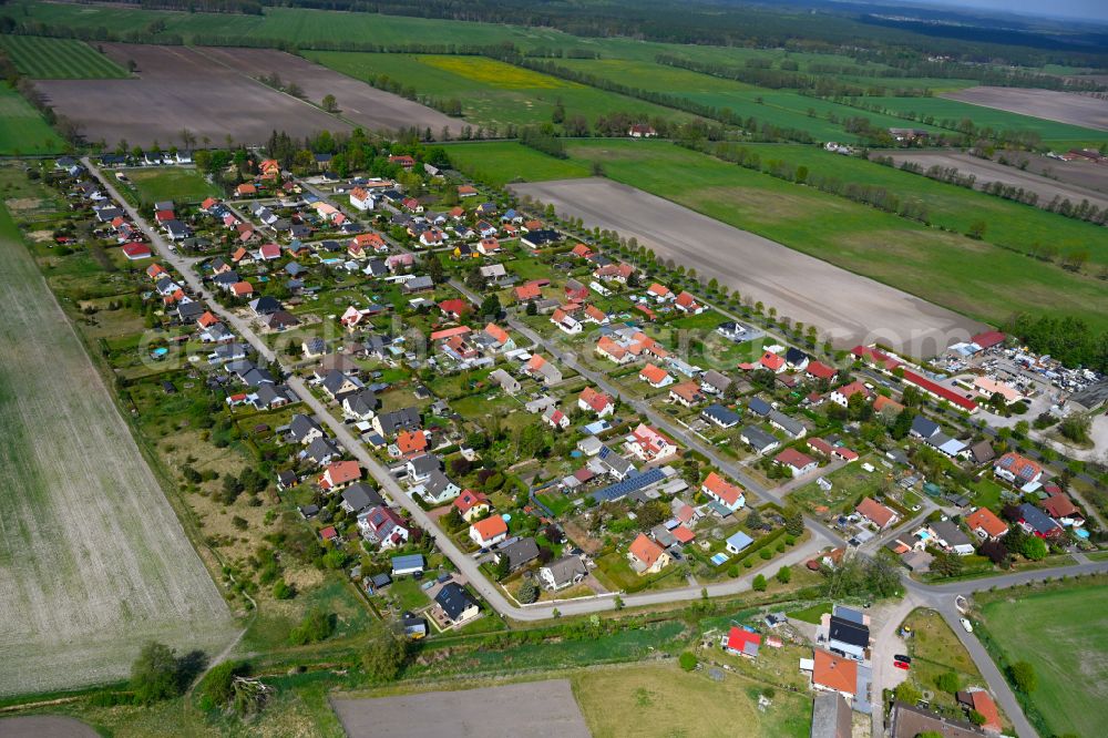 Aerial image Hohenbruch - Agricultural land and field boundaries surround the settlement area of the village in Hohenbruch in the state Brandenburg, Germany