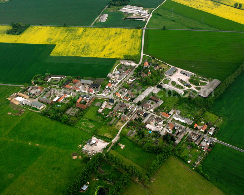 Hohenlepte from the bird's eye view: Agricultural land and field boundaries surround the settlement area of the village in Hohenlepte in the state Saxony-Anhalt, Germany