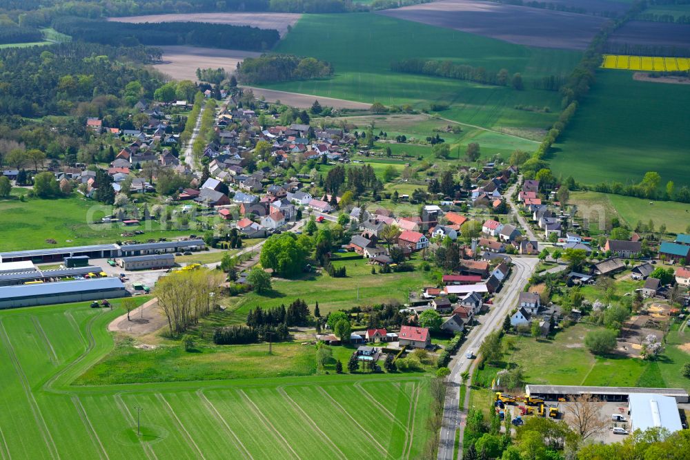 Aerial image Hohenofen - Agricultural land and field boundaries surround the settlement area of the village in Hohenofen in the state Brandenburg, Germany