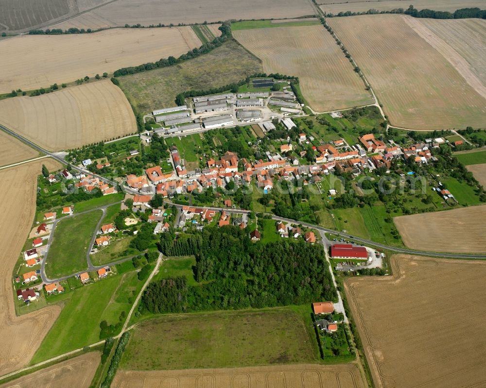 Aerial image Hollenbach - Agricultural land and field boundaries surround the settlement area of the village in Hollenbach in the state Thuringia, Germany