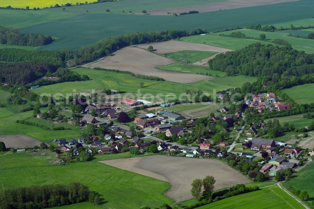 Hollenbek from the bird's eye view: Agricultural land and field boundaries surround the settlement area of the village in Hollenbek in the state Schleswig-Holstein, Germany