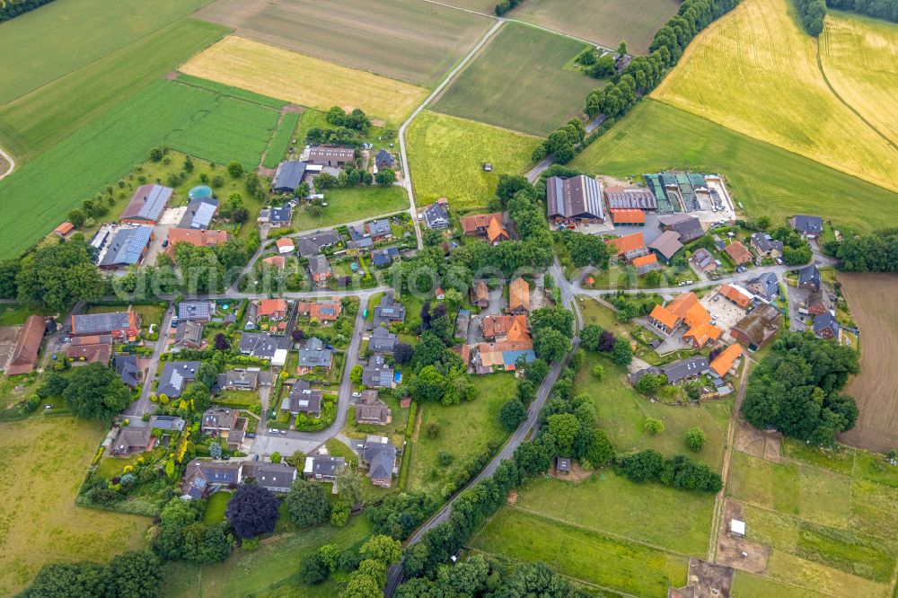 Holtwick from the bird's eye view: Agricultural land and field boundaries surround the settlement area of the village in Holtwick in the state North Rhine-Westphalia, Germany