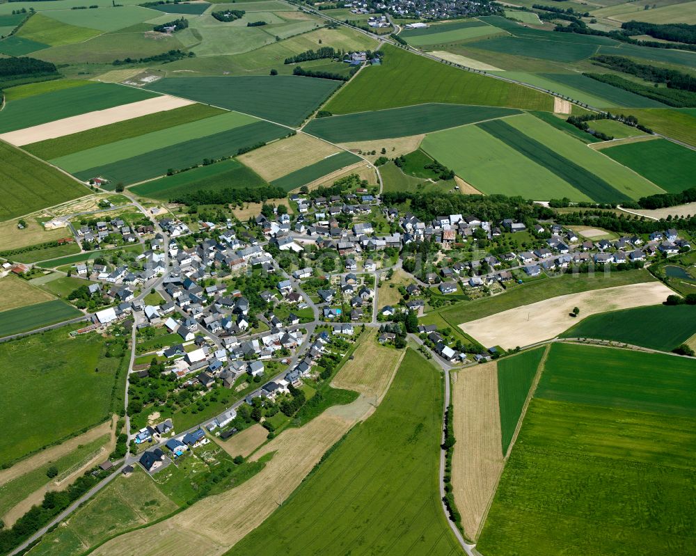 Holzbach from the bird's eye view: Agricultural land and field boundaries surround the settlement area of the village in Holzbach in the state Rhineland-Palatinate, Germany