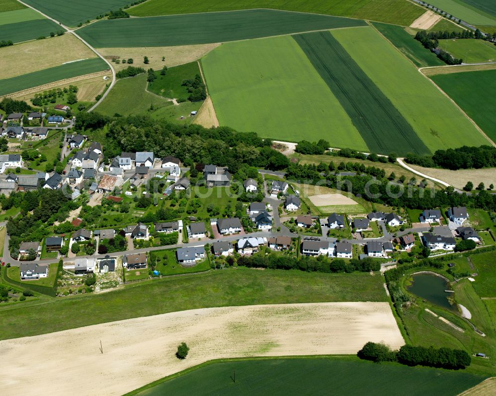 Aerial image Holzbach - Agricultural land and field boundaries surround the settlement area of the village in Holzbach in the state Rhineland-Palatinate, Germany