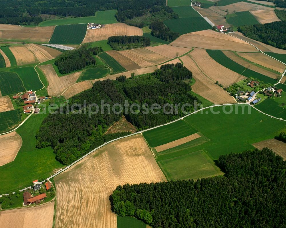 Aerial image Holzham - Agricultural land and field boundaries surround the settlement area of the village in Holzham in the state Bavaria, Germany