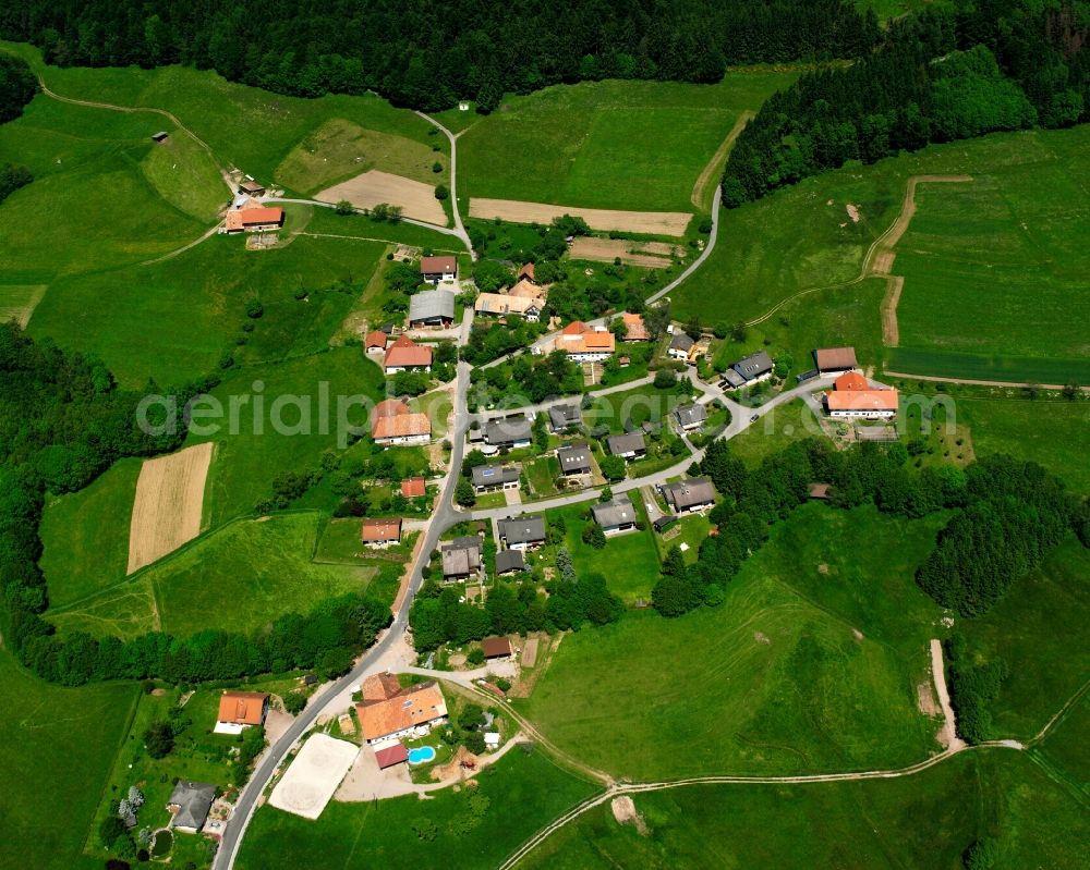 Hottingen from the bird's eye view: Agricultural land and field boundaries surround the settlement area of the village in Hottingen in the state Baden-Wuerttemberg, Germany