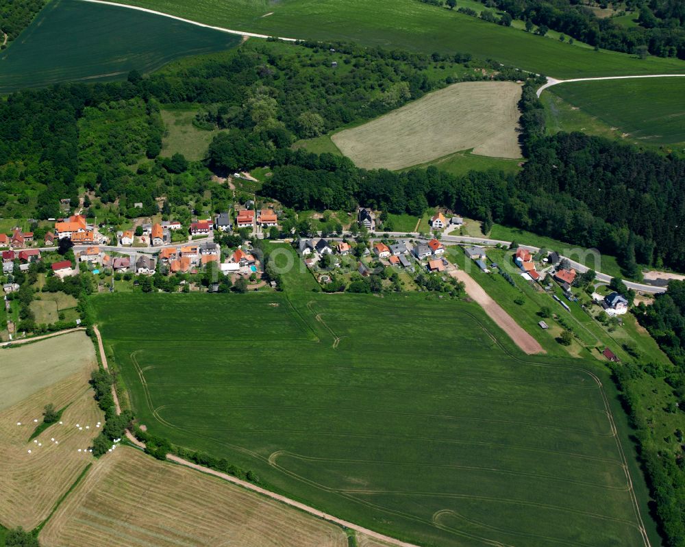 Hundeshagen from the bird's eye view: Agricultural land and field boundaries surround the settlement area of the village in Hundeshagen in the state Thuringia, Germany