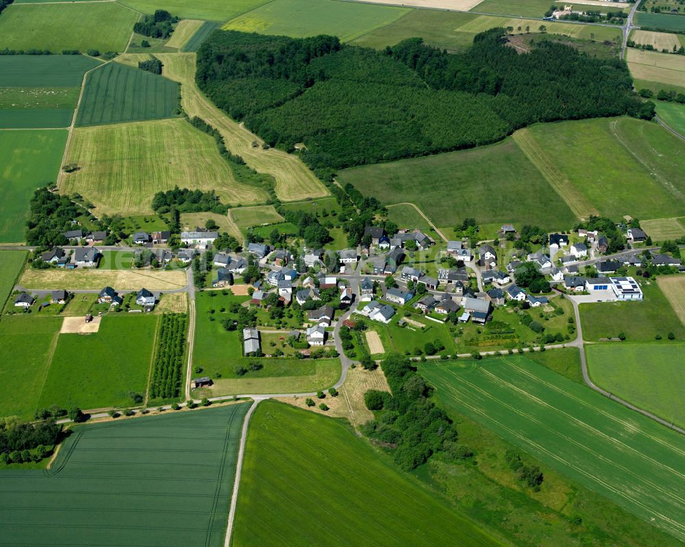 Aerial photograph Hundheim - Agricultural land and field boundaries surround the settlement area of the village in Hundheim in the state Rhineland-Palatinate, Germany