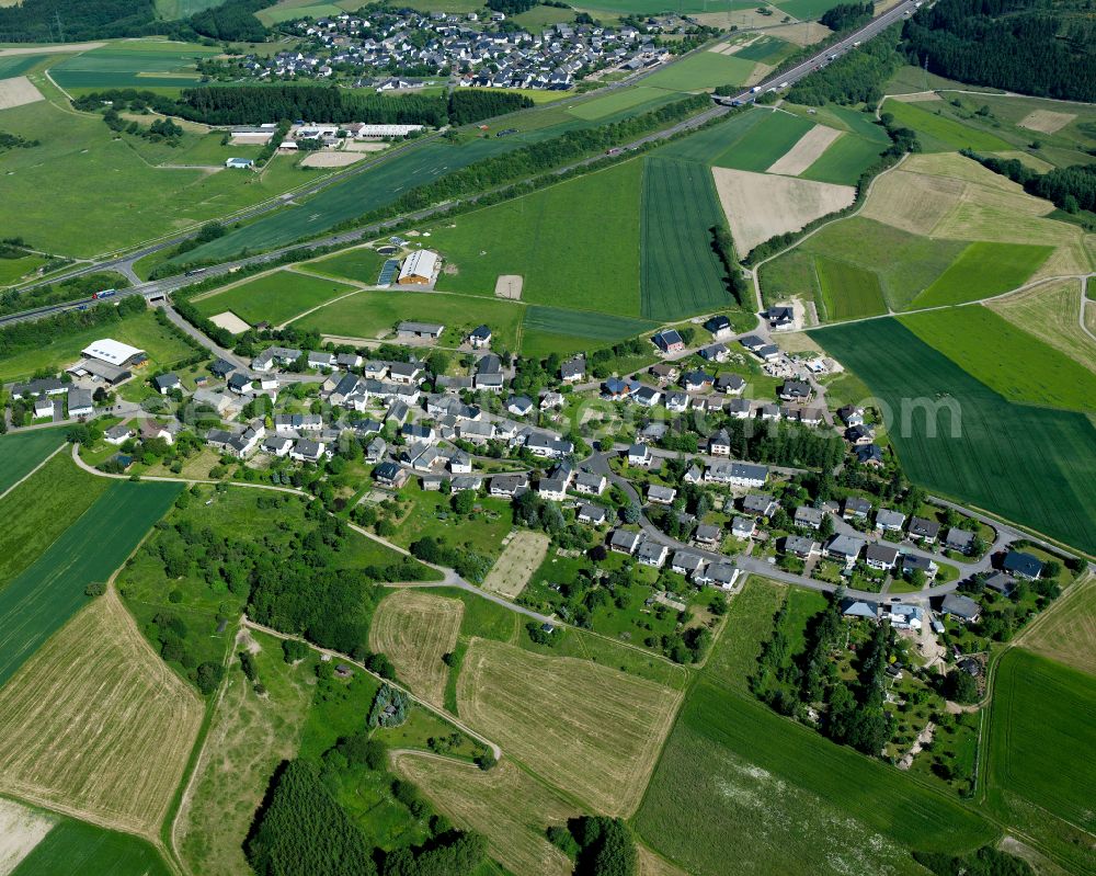 Hungenroth from the bird's eye view: Agricultural land and field boundaries surround the settlement area of the village in Hungenroth in the state Rhineland-Palatinate, Germany