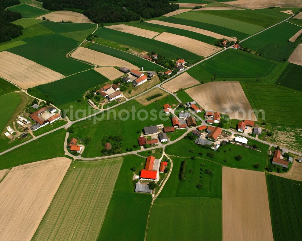 Huttenkofen from the bird's eye view: Agricultural land and field boundaries surround the settlement area of the village in Huttenkofen in the state Bavaria, Germany