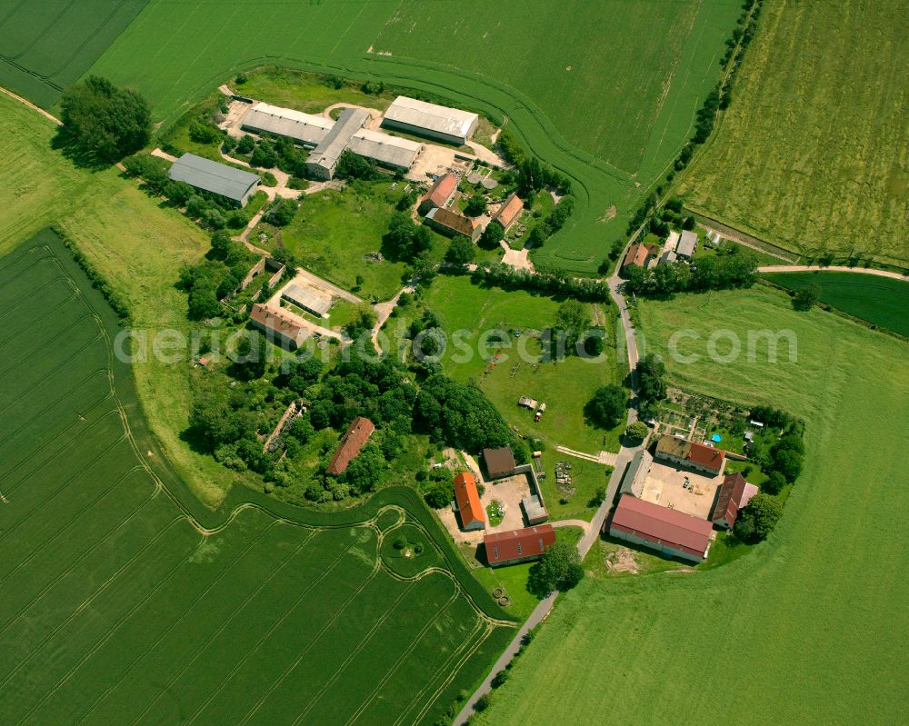 Aerial photograph Ibanitz - Agricultural land and field boundaries surround the settlement area of the village in Ibanitz in the state Saxony, Germany