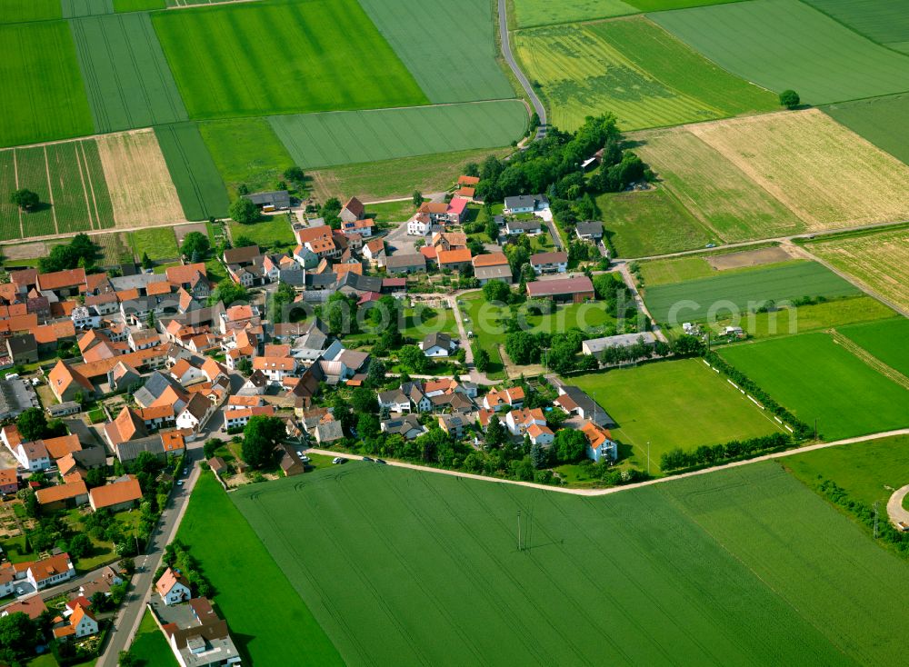 Aerial image Ilbesheim - Agricultural land and field boundaries surround the settlement area of the village in Ilbesheim in the state Rhineland-Palatinate, Germany