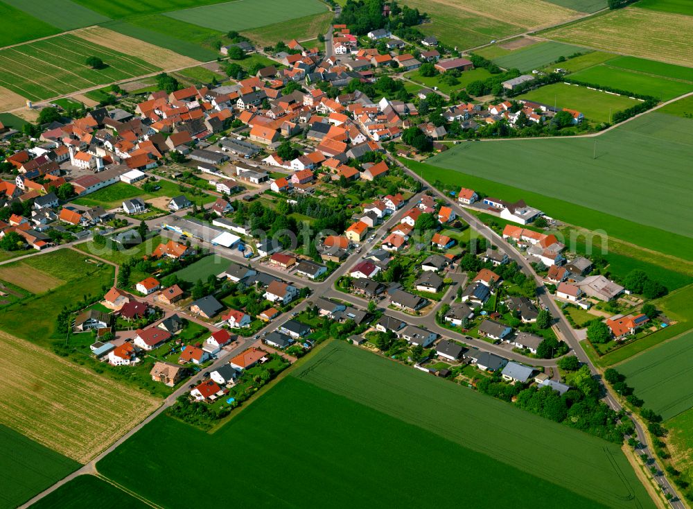 Aerial photograph Ilbesheim - Agricultural land and field boundaries surround the settlement area of the village in Ilbesheim in the state Rhineland-Palatinate, Germany