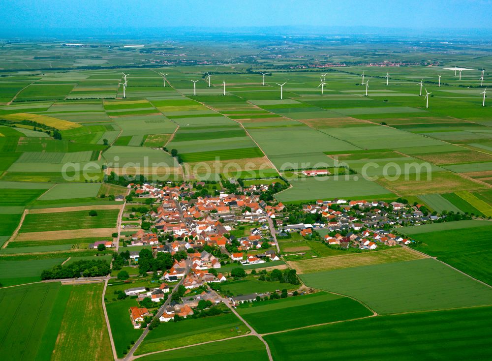 Ilbesheim from the bird's eye view: Agricultural land and field boundaries surround the settlement area of the village in Ilbesheim in the state Rhineland-Palatinate, Germany