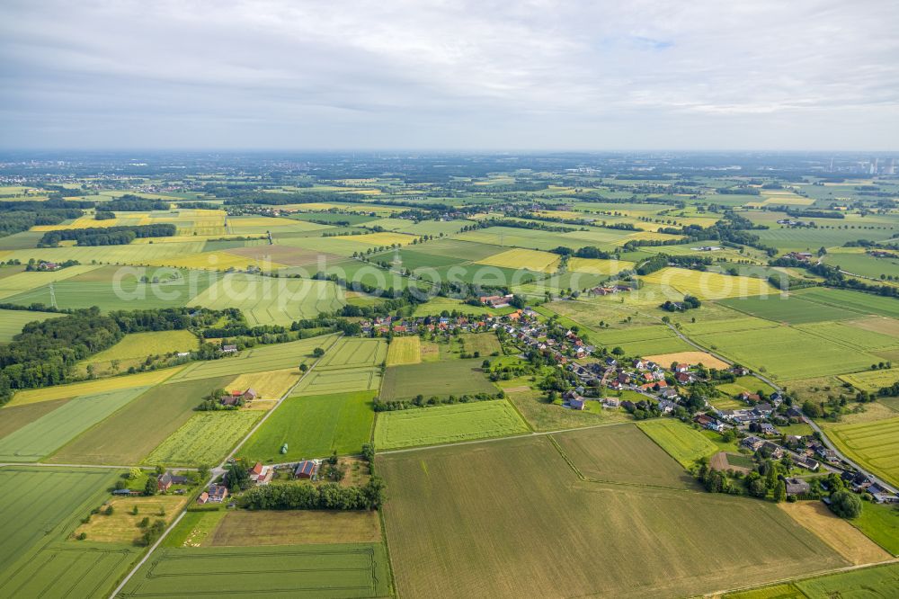 Illingen from the bird's eye view: Agricultural land and field boundaries surround the settlement area of the village in Illingen in the state North Rhine-Westphalia, Germany