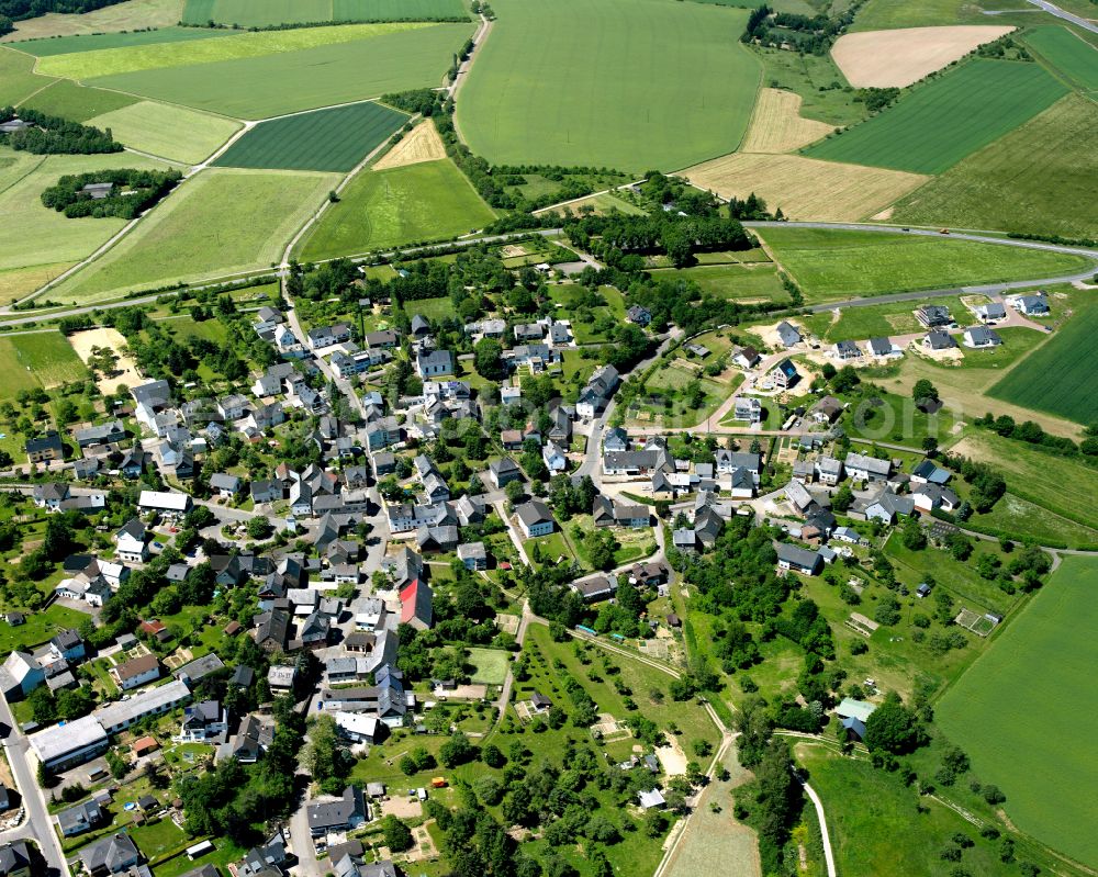 Industriepark from the bird's eye view: Agricultural land and field boundaries surround the settlement area of the village in Industriepark in the state Rhineland-Palatinate, Germany