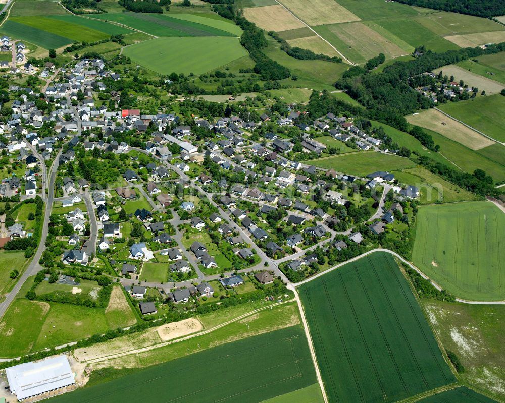 Aerial photograph Industriepark - Agricultural land and field boundaries surround the settlement area of the village in Industriepark in the state Rhineland-Palatinate, Germany