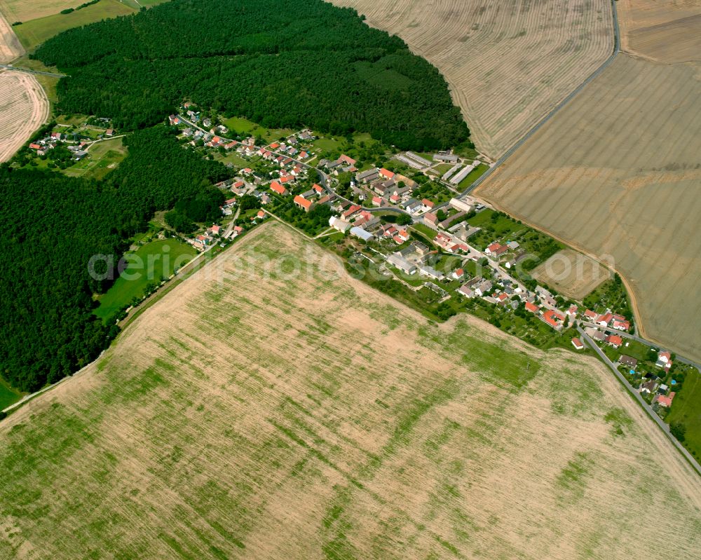 Aerial photograph Jacobsthal - Agricultural land and field boundaries surround the settlement area of the village in Jacobsthal in the state Saxony, Germany