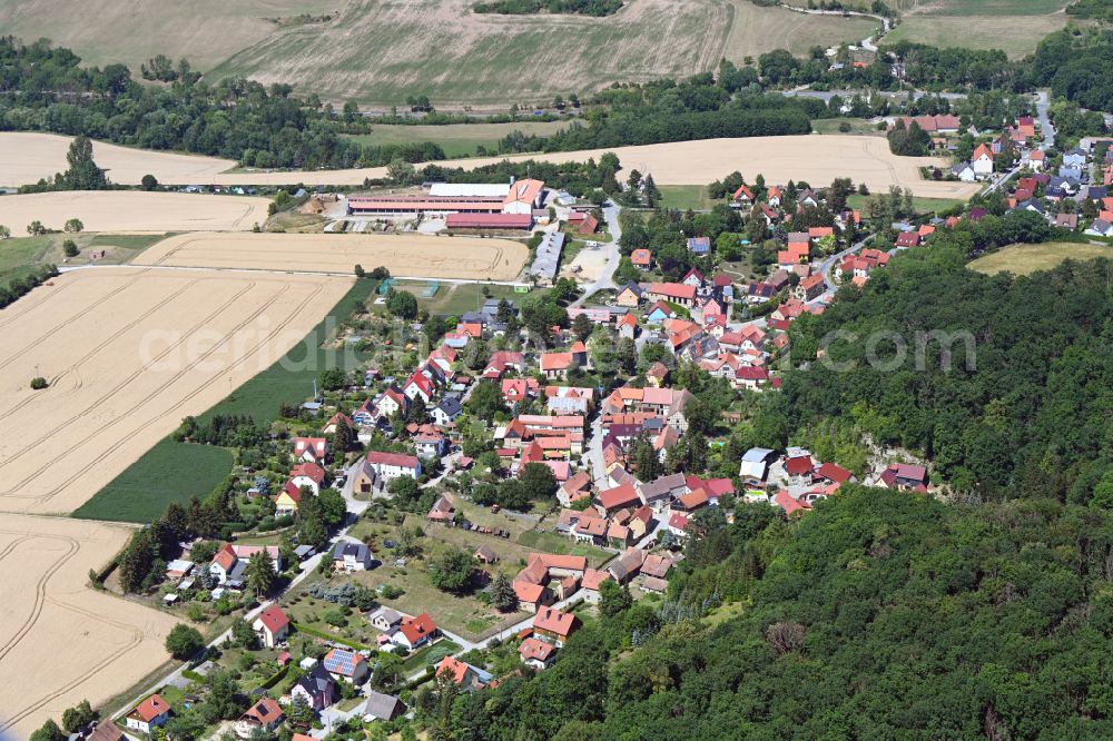 Aerial photograph Jenaprießnitz - Agricultural land and field boundaries surround the settlement area of the village in Jenapriessnitz in the state Thuringia, Germany