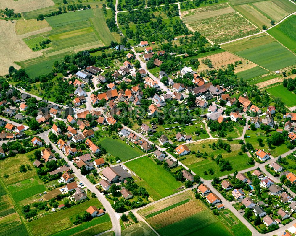 Jettenburg from above - Agricultural land and field boundaries surround the settlement area of the village in Jettenburg in the state Baden-Wuerttemberg, Germany