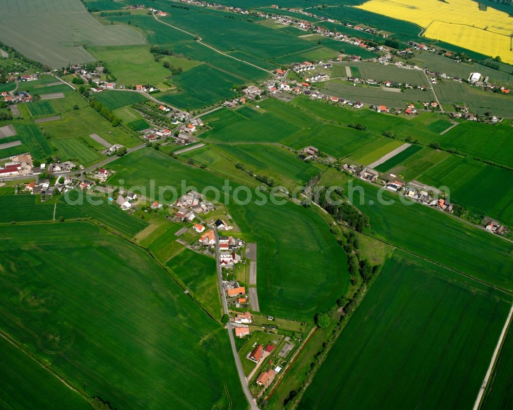 Kakau from the bird's eye view: Agricultural land and field boundaries surround the settlement area of the village in Kakau in the state Saxony-Anhalt, Germany