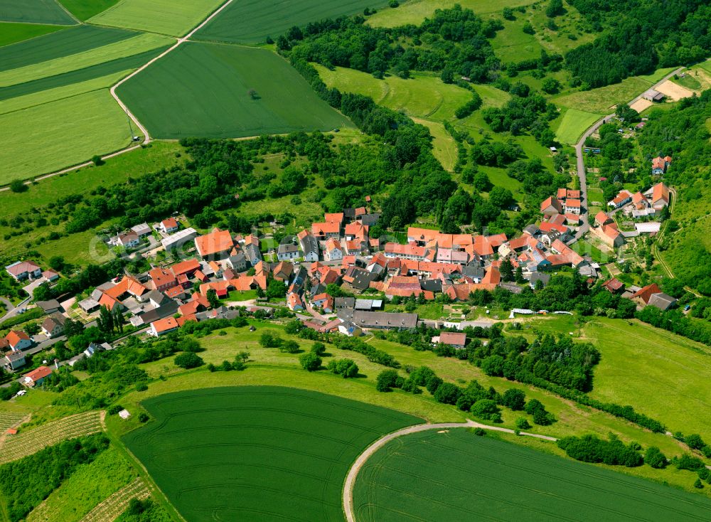 Kalkofen from the bird's eye view: Agricultural land and field boundaries surround the settlement area of the village in Kalkofen in the state Rhineland-Palatinate, Germany