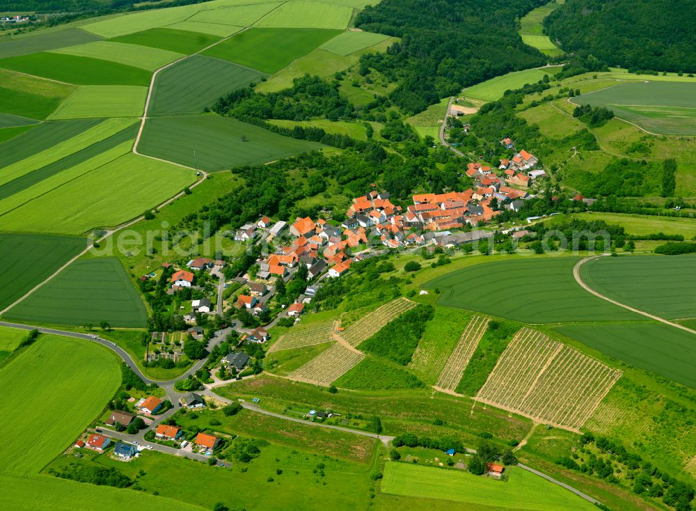 Aerial image Kalkofen - Agricultural land and field boundaries surround the settlement area of the village in Kalkofen in the state Rhineland-Palatinate, Germany