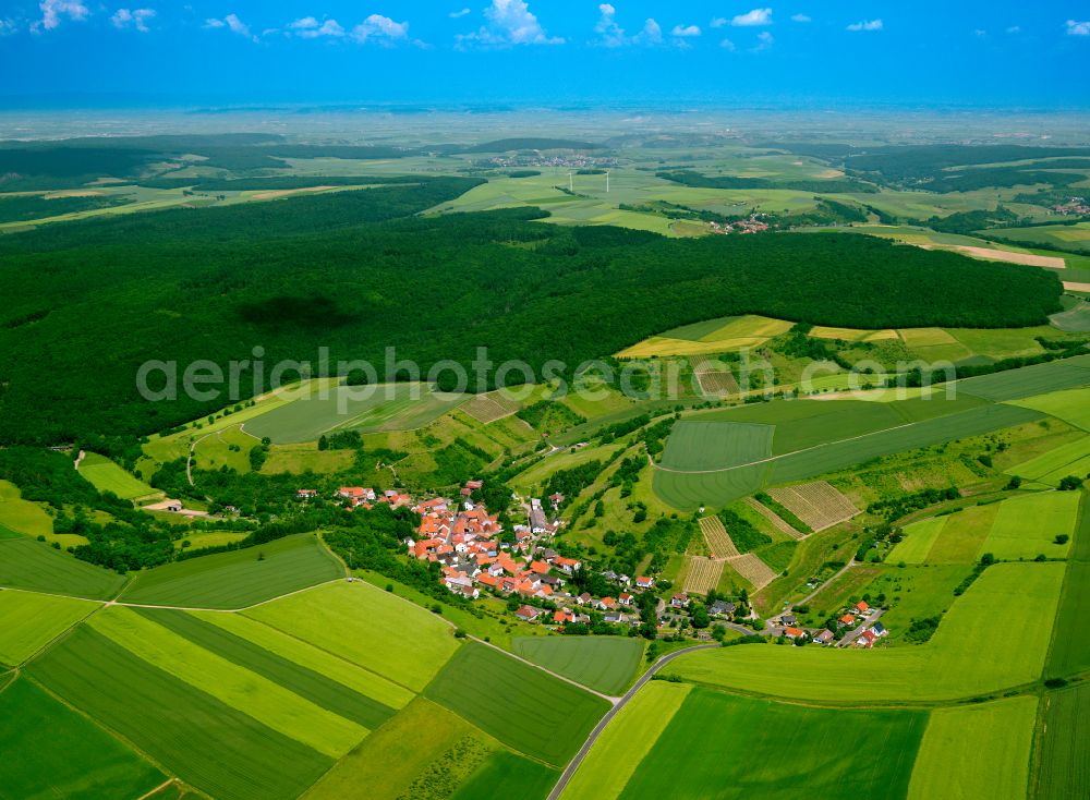 Aerial photograph Kalkofen - Agricultural land and field boundaries surround the settlement area of the village in Kalkofen in the state Rhineland-Palatinate, Germany