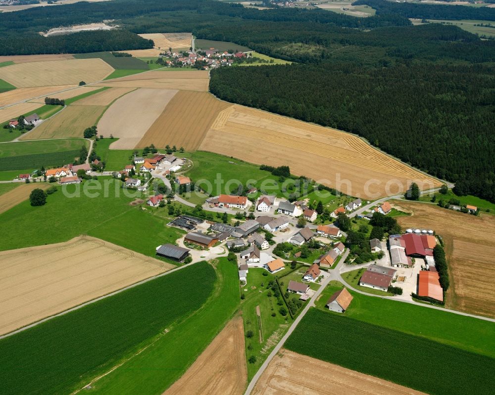 Kappel from the bird's eye view: Agricultural land and field boundaries surround the settlement area of the village in Kappel in the state Baden-Wuerttemberg, Germany