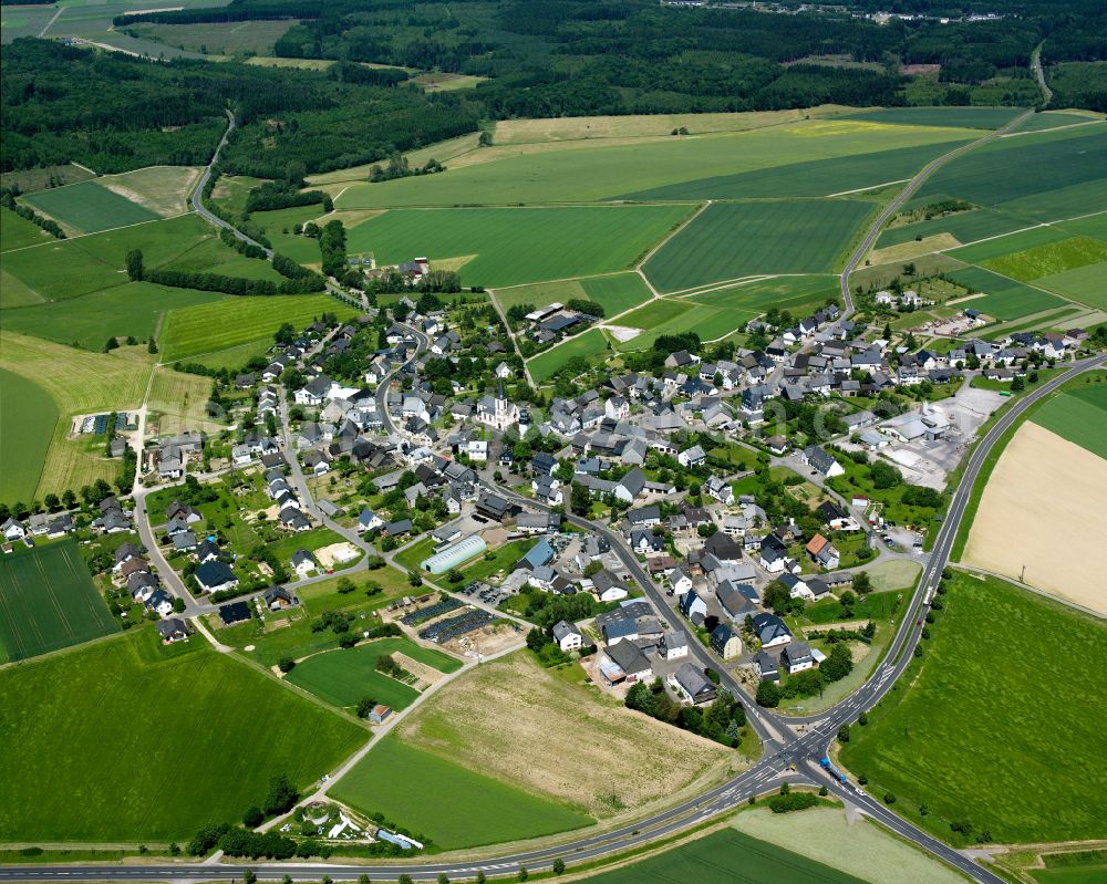 Aerial photograph Kappel - Agricultural land and field boundaries surround the settlement area of the village in Kappel in the state Rhineland-Palatinate, Germany