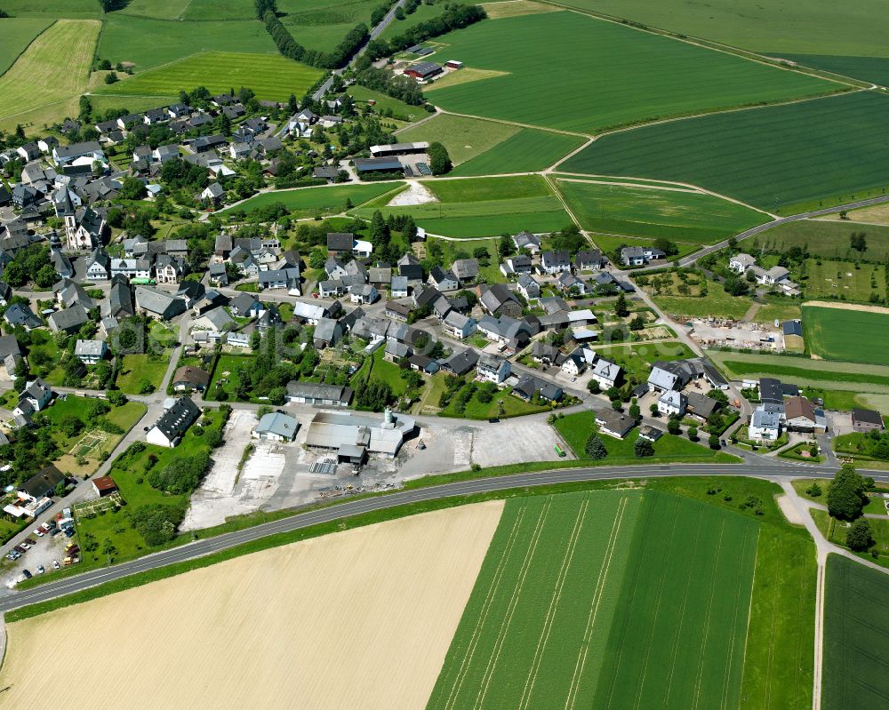 Kappel from the bird's eye view: Agricultural land and field boundaries surround the settlement area of the village in Kappel in the state Rhineland-Palatinate, Germany