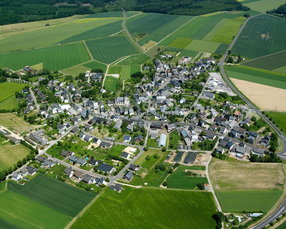 Aerial image Kappel - Agricultural land and field boundaries surround the settlement area of the village in Kappel in the state Rhineland-Palatinate, Germany