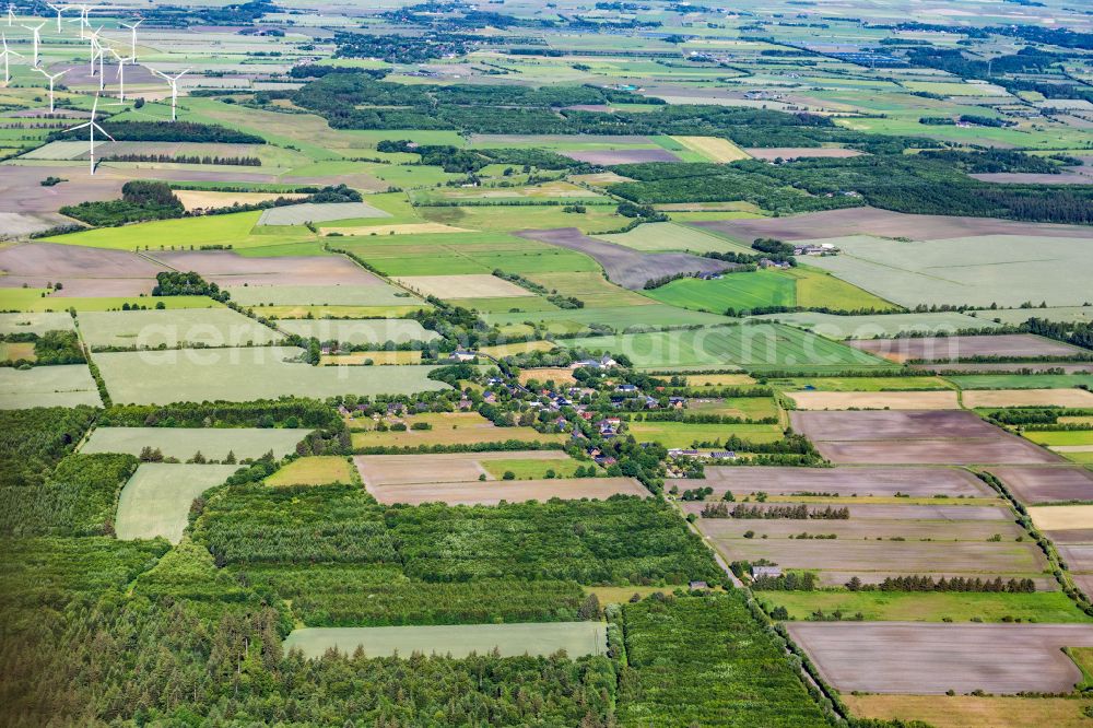 Karlum from the bird's eye view: Agricultural land and field boundaries surround the settlement area of the village in Karlum in the state Schleswig-Holstein, Germany