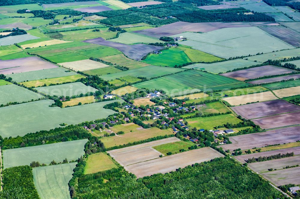 Aerial image Karlum - Agricultural land and field boundaries surround the settlement area of the village in Karlum in the state Schleswig-Holstein, Germany