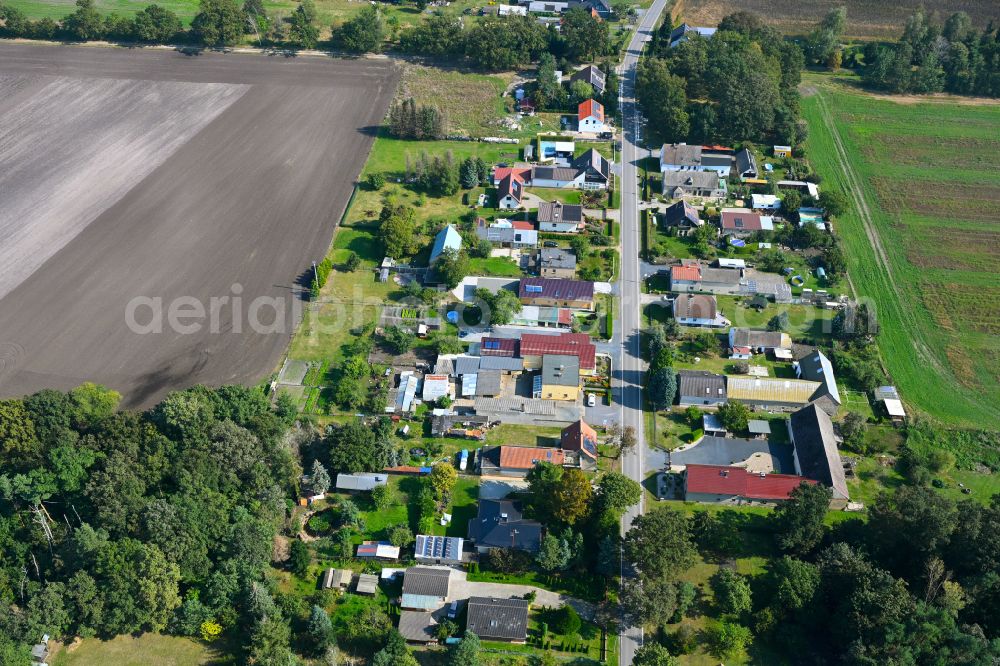 Aerial image Kaupen - Agricultural land and field boundaries surround the settlement area of the village on street Plessaer Strasse in Kaupen in the state Brandenburg, Germany