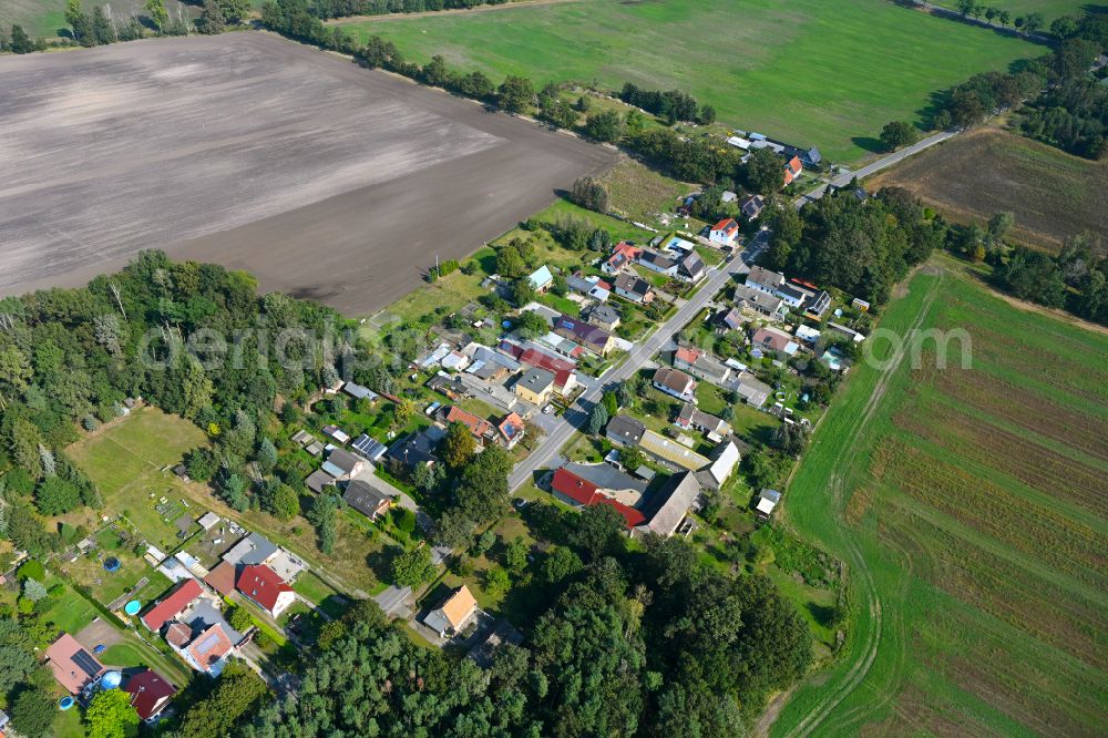 Kaupen from above - Agricultural land and field boundaries surround the settlement area of the village on street Plessaer Strasse in Kaupen in the state Brandenburg, Germany