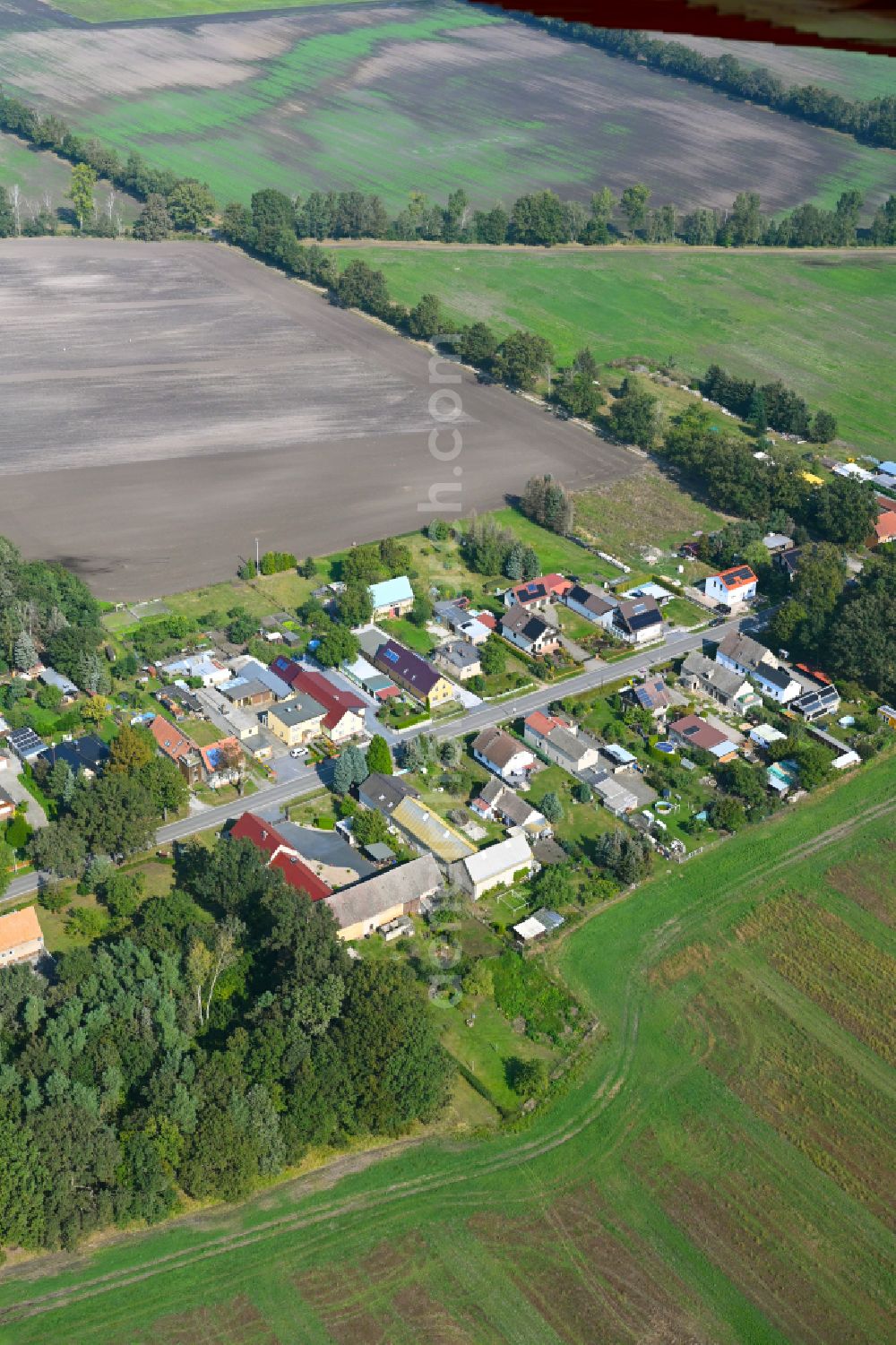 Kaupen from the bird's eye view: Agricultural land and field boundaries surround the settlement area of the village on street Plessaer Strasse in Kaupen in the state Brandenburg, Germany