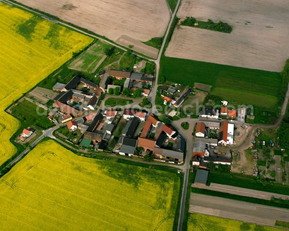 Aerial image Kerchau - Agricultural land and field boundaries surround the settlement area of the village in Kerchau in the state Saxony-Anhalt, Germany